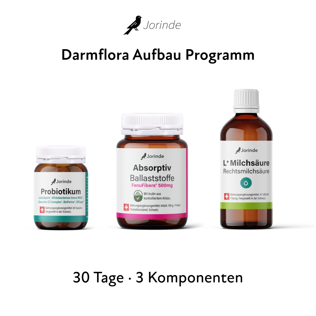 Darmflora Aufbau - Jorinde