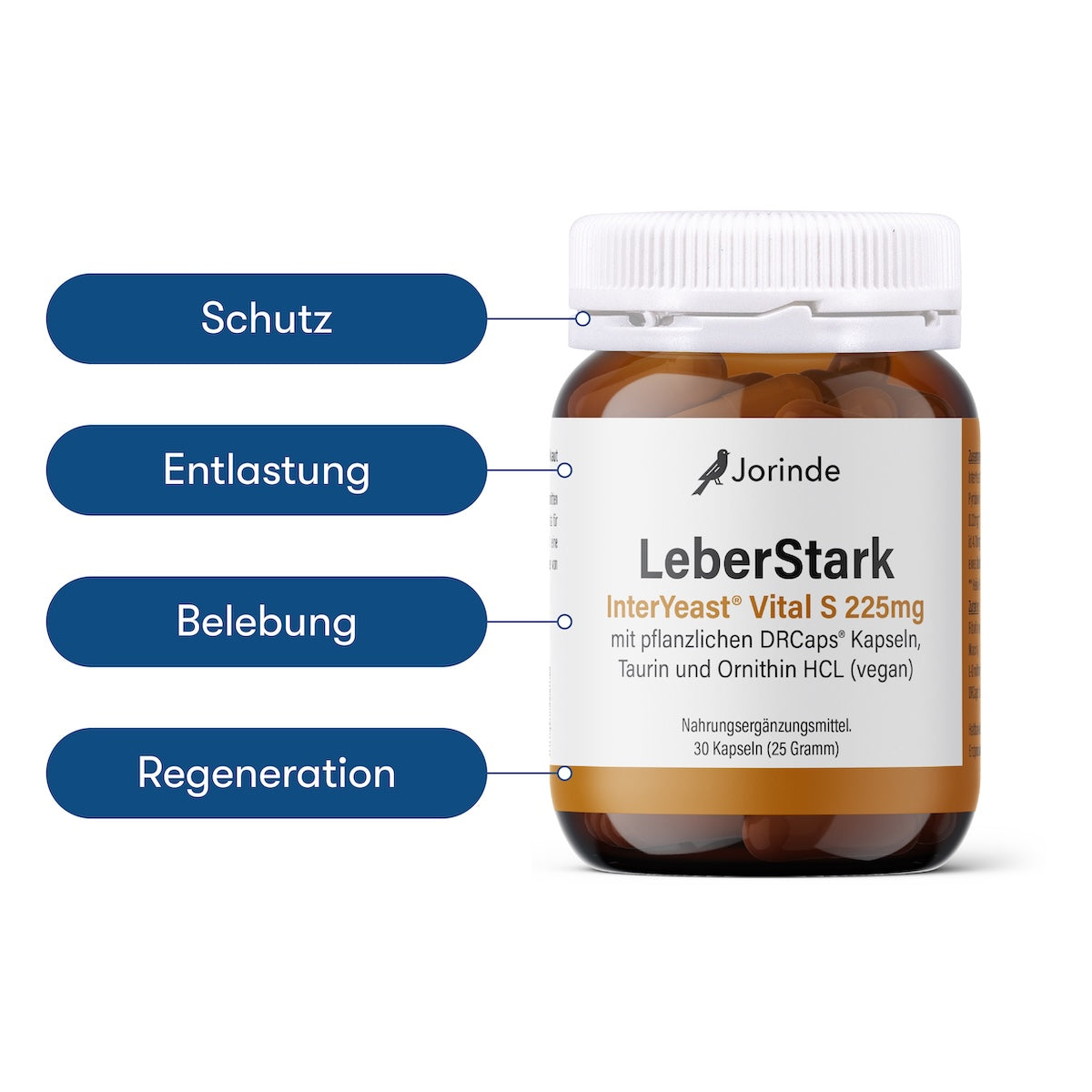 LeberStark Leberkur