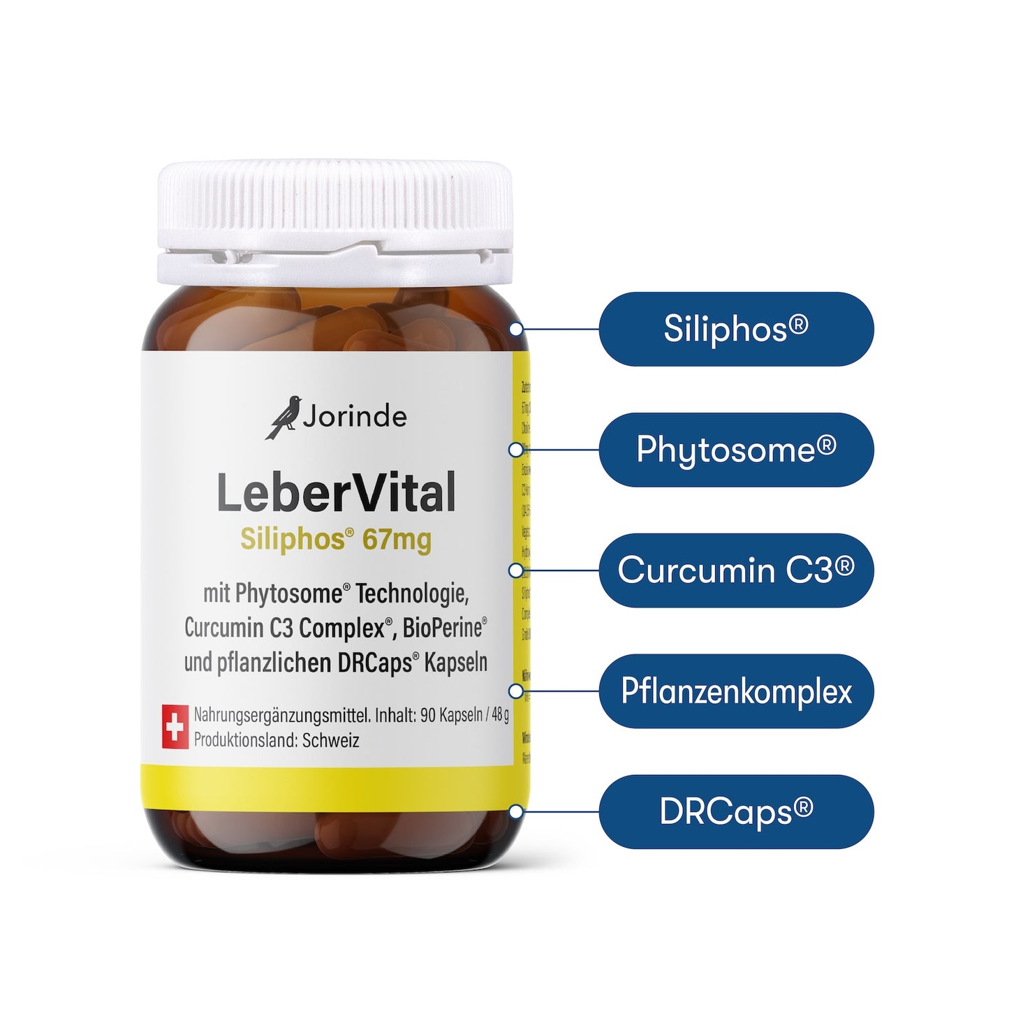 Leberprogramm