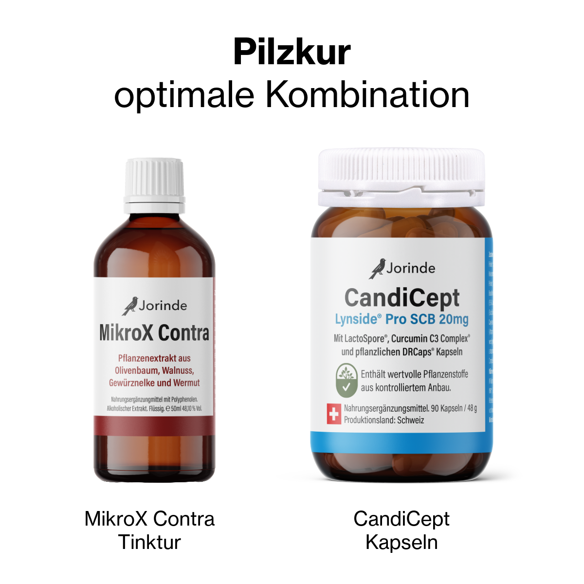 Pilzprogramm
