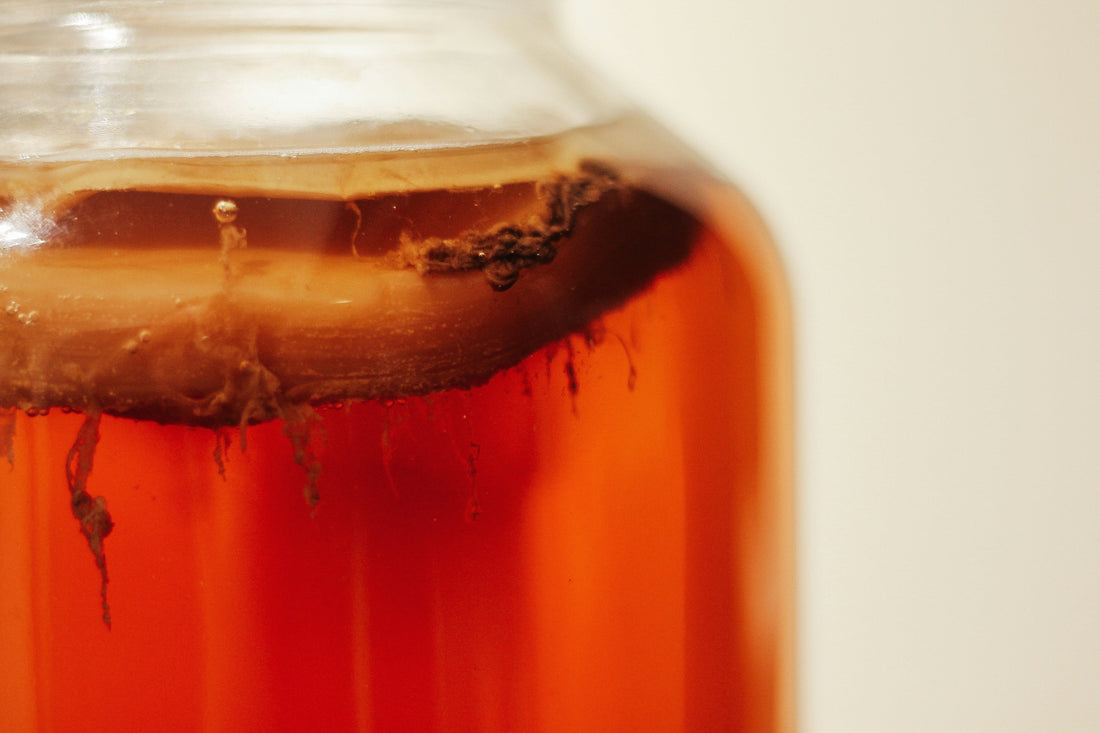 Kombucha im Glas
