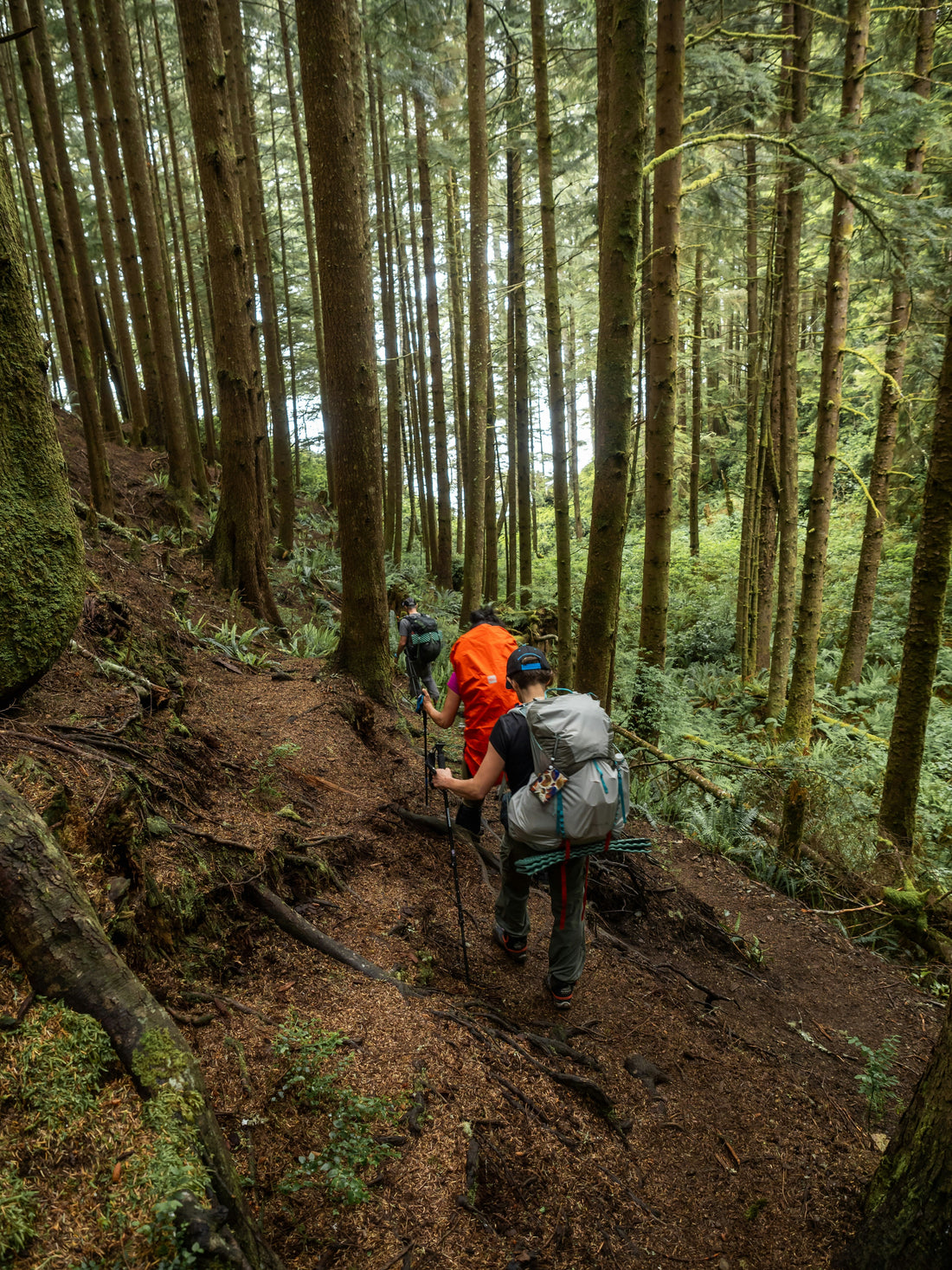 Wanderer im dichten Wald