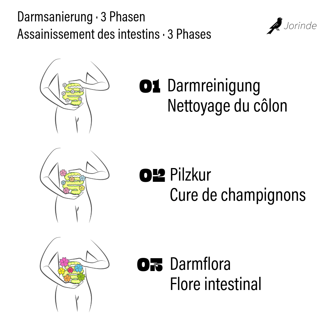 Nettoyage intestinal complet