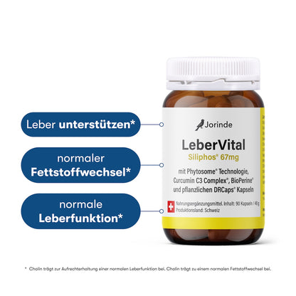 Leberprogramm