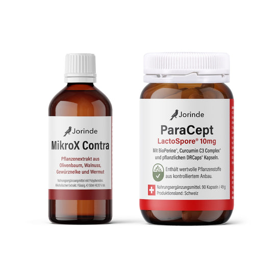 Parasitenprogramm