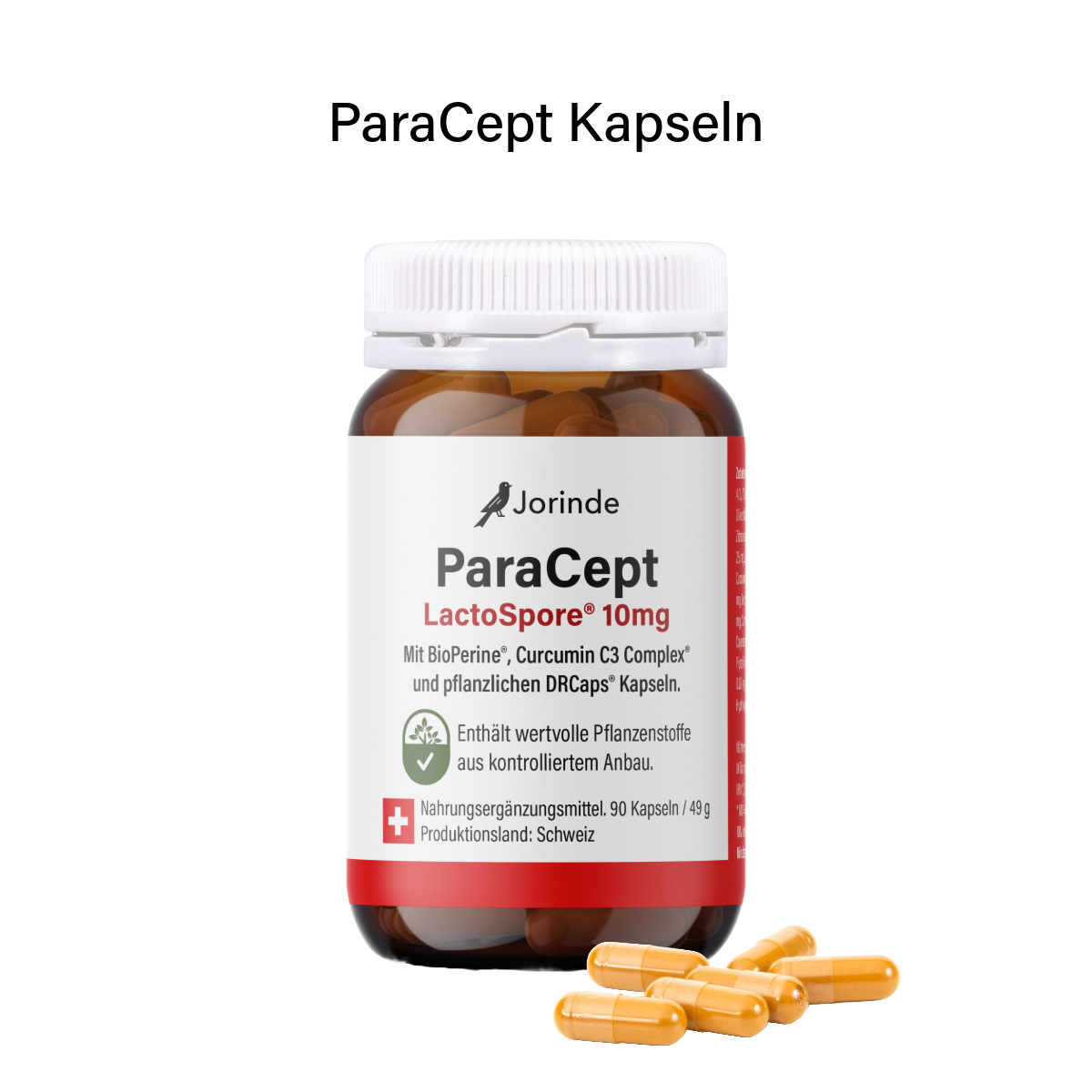 Parasitenprogramm