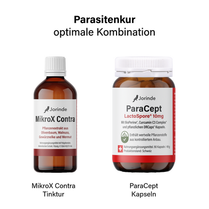 Parasitenprogramm