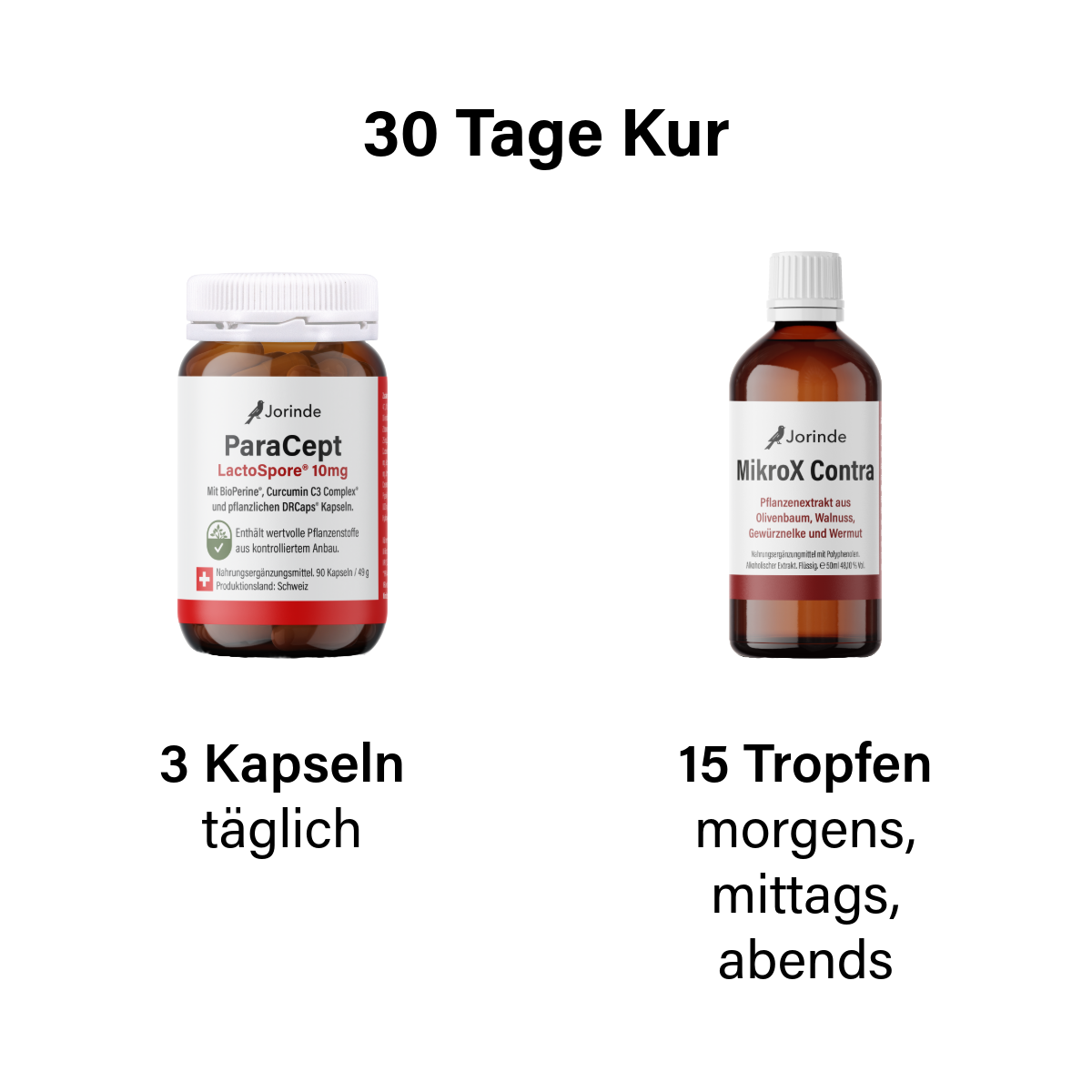 Parasitenprogramm