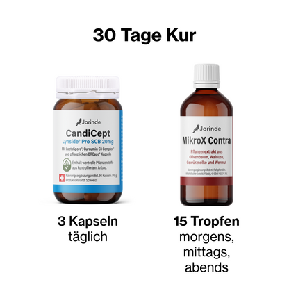 Pilzprogramm