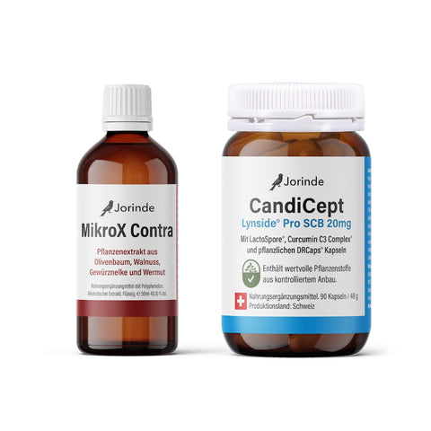 Pilzprogramm Jorinde CandiCept