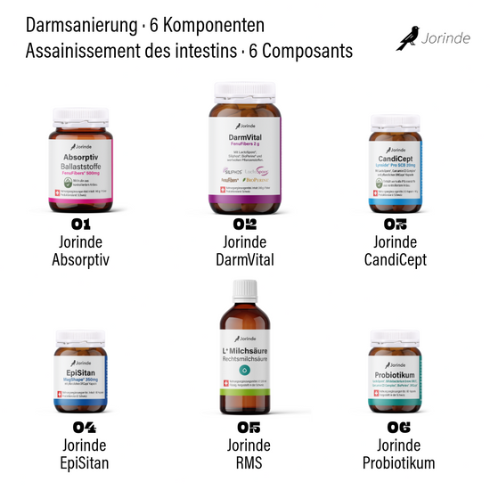 Darmsanierung Komplett Jorinde